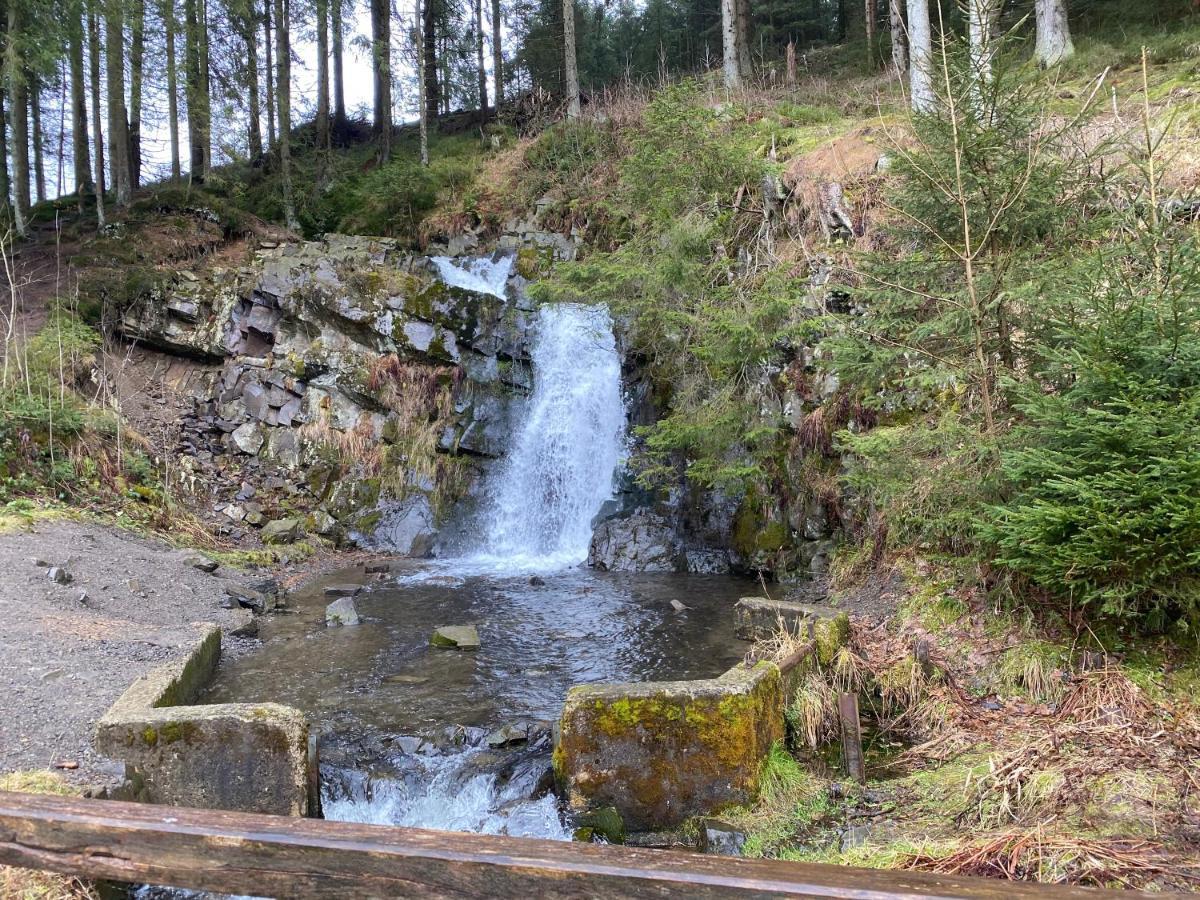 Ferienwohnung Hohensee Eg Clausthal-Zellerfeld Exteriör bild